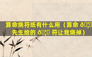 算命烧符纸有什么用（算命 🦊 先生给的 🦍 符让我烧掉）